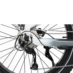 Himiway D5 Pro close-up showing rear derailleur, cassette, and wheel detail