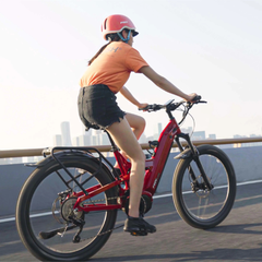 Frey CC Electric Mountain Bike | Full Suspension Step-Through | Bafang M620