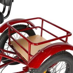 Eunorau NEW-TRIKE 2.0 rear cargo rack close-up