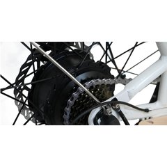 Eunorau MAX-CARGO 2.0 rear hub motor close-up