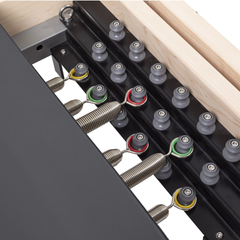 Elina Pilates Physio Master Instructor Bundle | Pilates Reformer