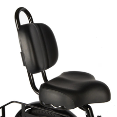 Eunorau ONE-TRIKE 2.0 saddle and backrest close-up