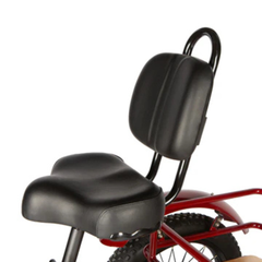 Eunorau NEW-TRIKE 2.0 saddle and backrest close-up