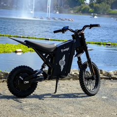 FreeGo X0 Electric Mini Bike black side view by the lake