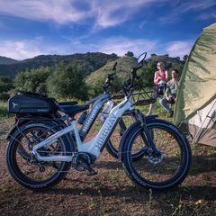 Himiway D5 (Zebra) electric bike parked outdoors with mountain background