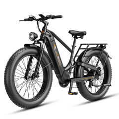 Jasion Thunder Pro electric bike, rear three-quarter view