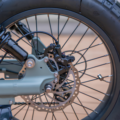 Eunorau Flash Lite 2.0 rear wheel and disc brake close-up