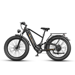 Jasion Thunder Pro electric bike, side view