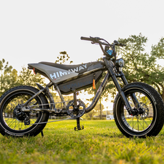 Himiway C5 electric bike outdoors on grass with side stand