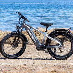 Himiway D5 Pro electric bike parked on beach with ocean background