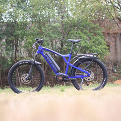 Frey HT1000 Electric Mountain Bike | Hardtail eMTB | Bafang M620