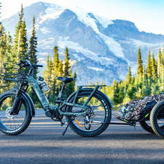 Himiway D5 2.0 Camo electric bike with cargo trailer on mountain road