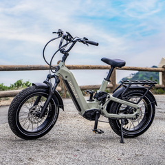 Himiway D5 2.0 20" electric bike outdoor side view on gravel path