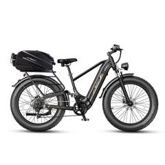 Jasion Thunder Pro electric bike with rear cargo rack and bag