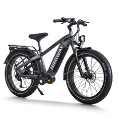 Himiway D5 Pro electric bike rear angled view in grey with rear rack and fat tires