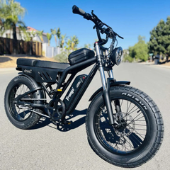 FreeGo F0 Electric Bike black front angle outdoor view
