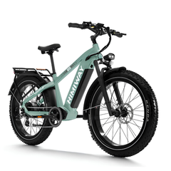 Himiway D5 (Zebra) electric bike front angled view in green with rear rack and fat tires