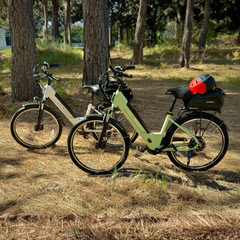 Jasion EB5 Roamer ST electric bike with rear rack outdoors