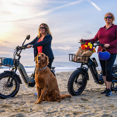 Himiway D5 2.0 20" electric bikes on beach with riders and dog