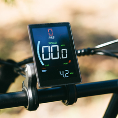 Jasion Hunter Pro color display showing speed and battery information