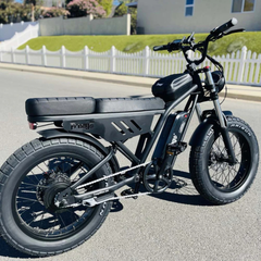 FreeGo F0 Electric Bike black side angle outdoor view