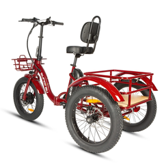 Eunorau NEW-TRIKE 2.0 rear view with cargo rack