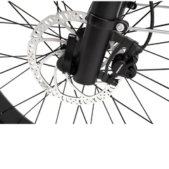 Himiway D5 (Zebra) close-up showing front disc brake and wheel detail