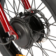 Eunorau NEW-TRIKE 2.0 rear hub motor close-up