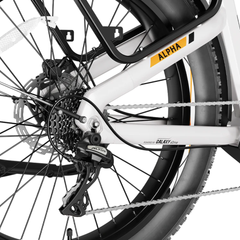 Close-up of the Alpha rear derailleur, cassette, chain, and wheel.