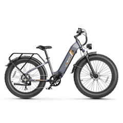 Jasion Thunder electric bike, full side profile view, gray color