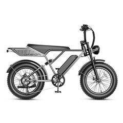 Jasion RetroVolt Pro electric bike Shadow Steel full side profile on white background