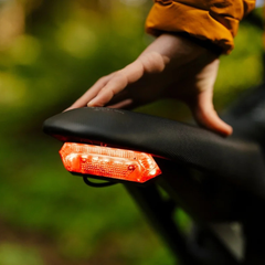 FreeGo X1 Electric Dirt Bike rear brake light detail