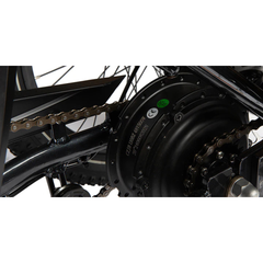 Eunorau ONE-TRIKE 2.0 rear motor close-up