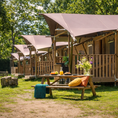 YALA Dreamer 49 Luxury Canvas Glamping Lodge | 2-Bed + Box Bed | 6–8 Guests | Roll-Up Walls