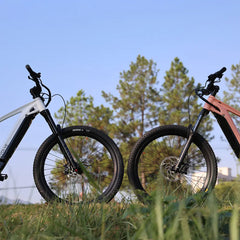 Frey EVOLVE NEO & NEO PRO Full Suspension Electric Mountain B