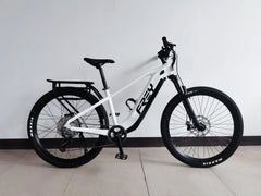 Frey Savannah HYBRID Touring E-Bike