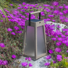 Les Jardins Roam Solar Outdoor LED Lantern