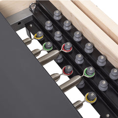Elina Pilates Physio Master Instructor with Tower | Pilates Reformer